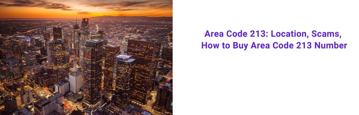 Area Code 213